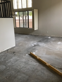 Screen Shot 2017-05-08 at 12.31.37 PM_edited