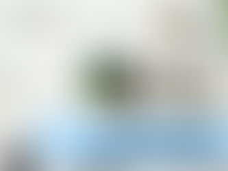 How to Merchandise Aquarium Kits for Dorms & Apartments 