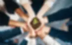 hands-holding-a-plant.webp