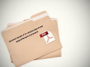 דו"ח הערכת הסיכונים לדמוקרטיה       הישראלית 2025 