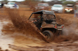 IMG_3615 copy.jpg