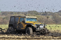 IMG_4404 copy.jpg