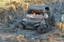 IMG_4717 copy.jpg