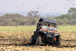 IMG_3812 copy.jpg