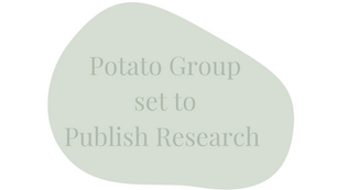Potato Group Set to Publish Research