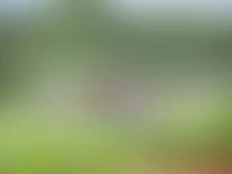 12/6【移住希望者向け】まるごと藤野体験ツアー（冬）行ってみよう・知ってみよう藤野！！