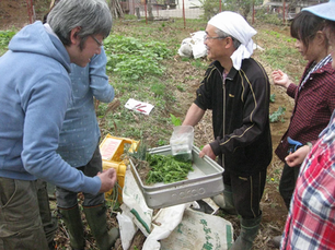  11/27【家庭菜園体験講座】めざせ有機野菜の自給自足！作ってみよう！食べてみよう！(冬)