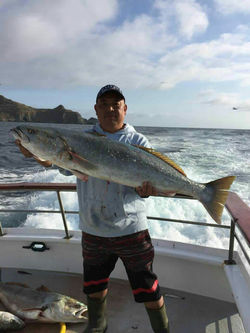 mmexport1463461429049