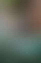 Carry It ... or Trust Him