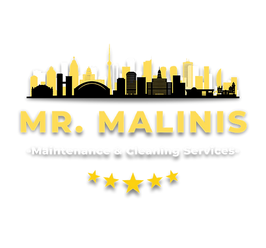Mr. Malinis Logo
