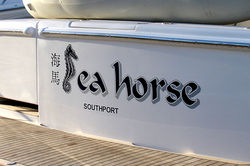 Sea horse.jpg