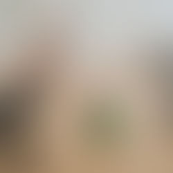 רפסודה בג'ונגל