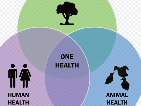 ONE HEALTH-UNA SALUD
SALUD HUMANA-SALUD ANIMAL-SALUD AMBIENTAL