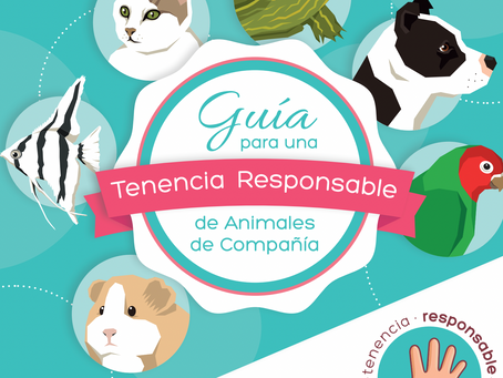 CARNET DE MANIPULADOR DE ALIMENTOS= a Tenencia responsable de mascotas