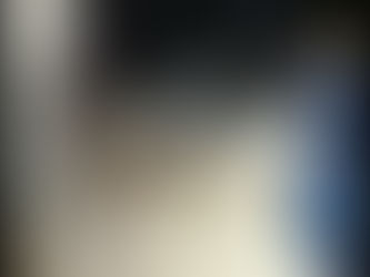 ¡Tu perro está protegido! Conoce las vacunas obligatorias y recomendadas en Asturias.