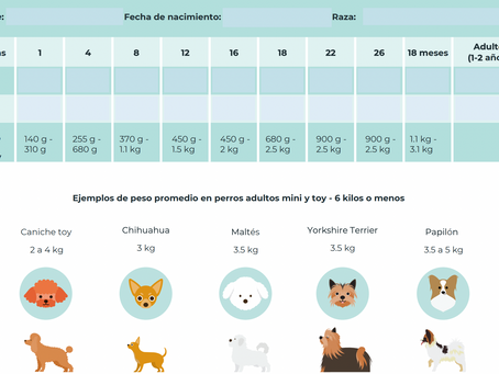 OBESIDAD EN PERROS
UN TEMA ALARMANTE
EL SOBREPESO ES UNA ENFERMEDAD