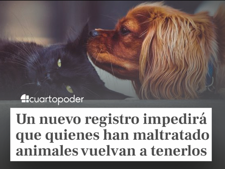 ¿EN QUE MÁS NOS MIENTEN?, muchas noticias como esta, que no esta en ningún articulo