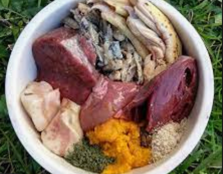 Dietas alternativas ¿realidad o moda?: Caseras balanceadas, veganas, dieta barF, “naturales”