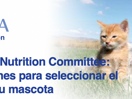 Recomendaciones para seleccionar el alimento para su mascota