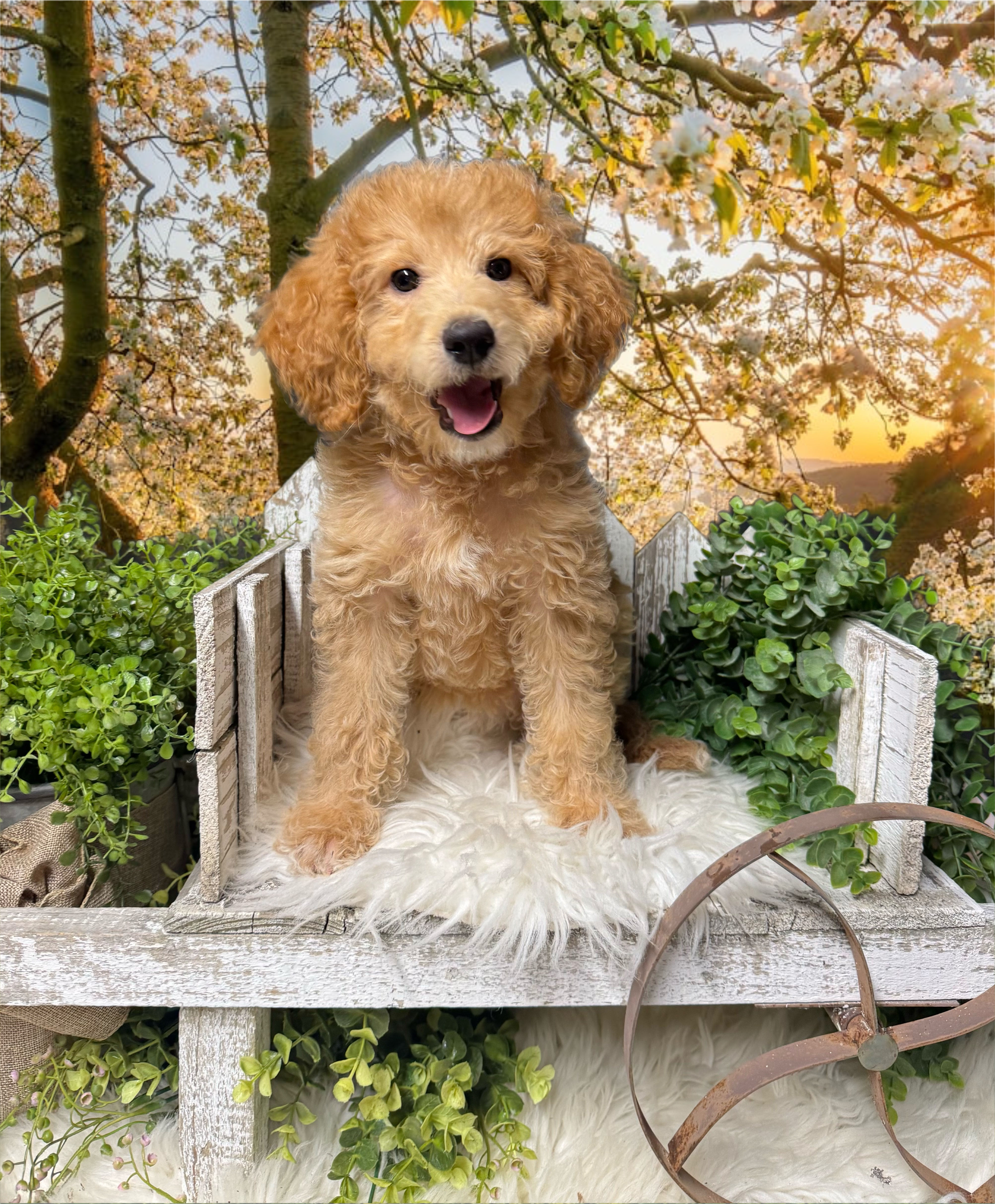 LEARN MORE about Luna