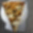 Hot Honey Pizza