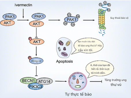 Khi Ivermectine bị cấm trong điều trị ung thư ở Canada