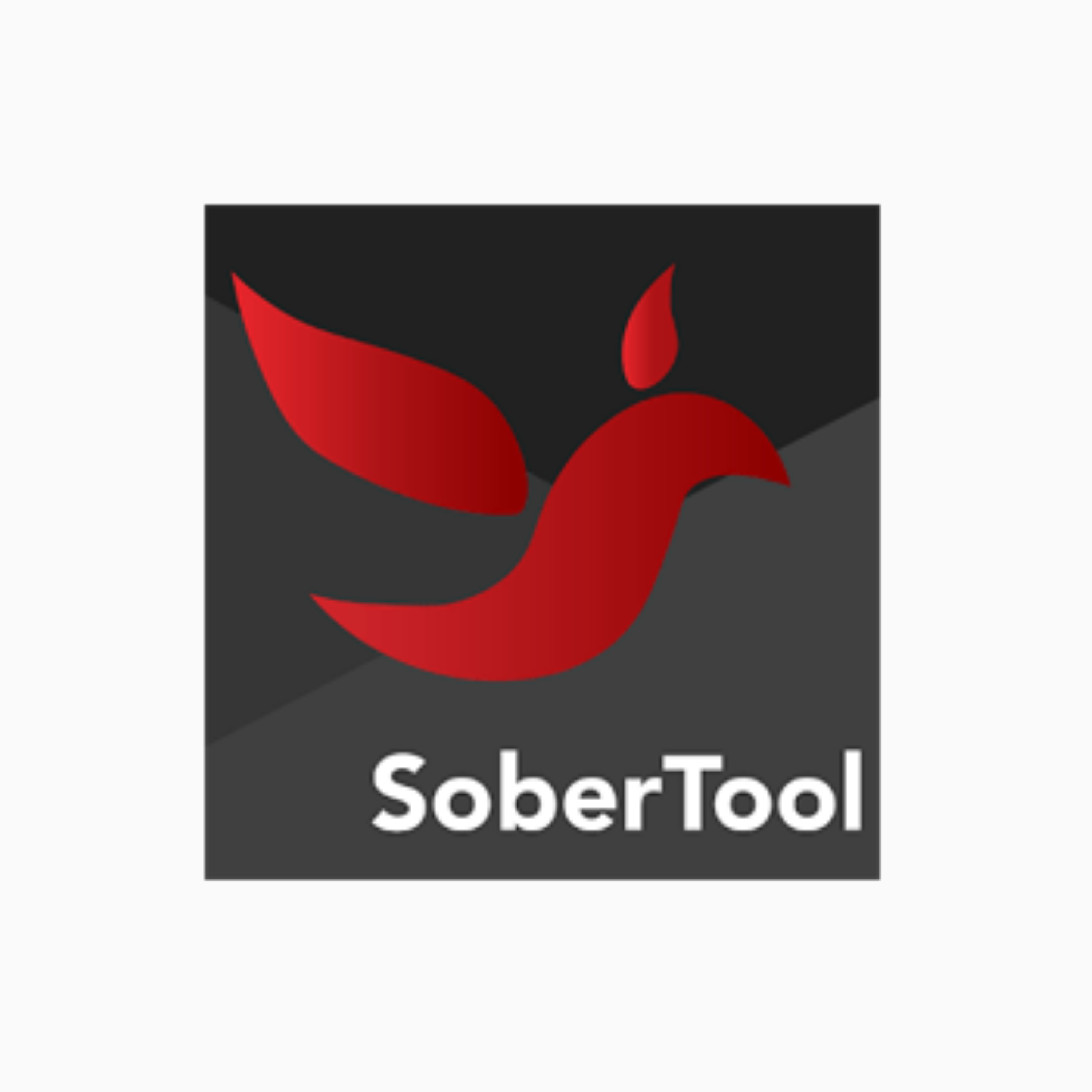 SoberTool