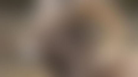 The value of wilderness in Colorado