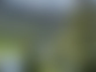 Fires, Fires Fires!!