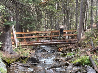 Volunteers are essential to trail restoration