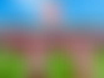 Pep Biel: the next Zinckernagel?