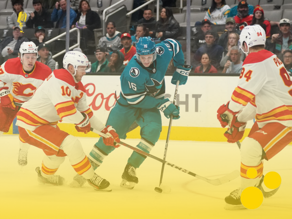 Хокейні романи: причина популярності жанру та приклади книг