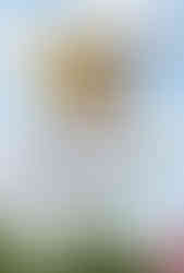 Фільм "Майнкрафт"