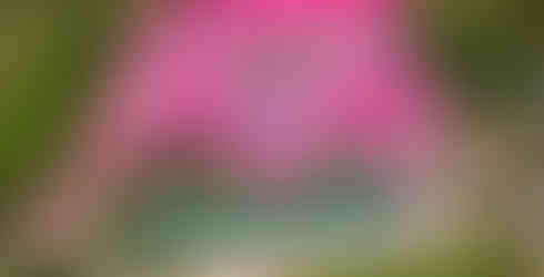 “Будинок мрії” Barbie Барбі