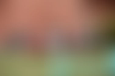 10/3(金) きょうの活動🎹