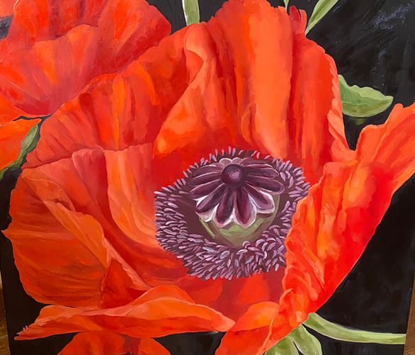 Oil Painting of poppy