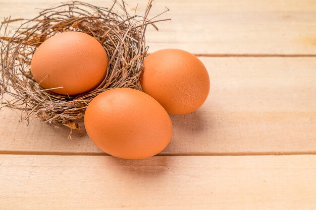 чем отличается устав ООО с одним учредителем