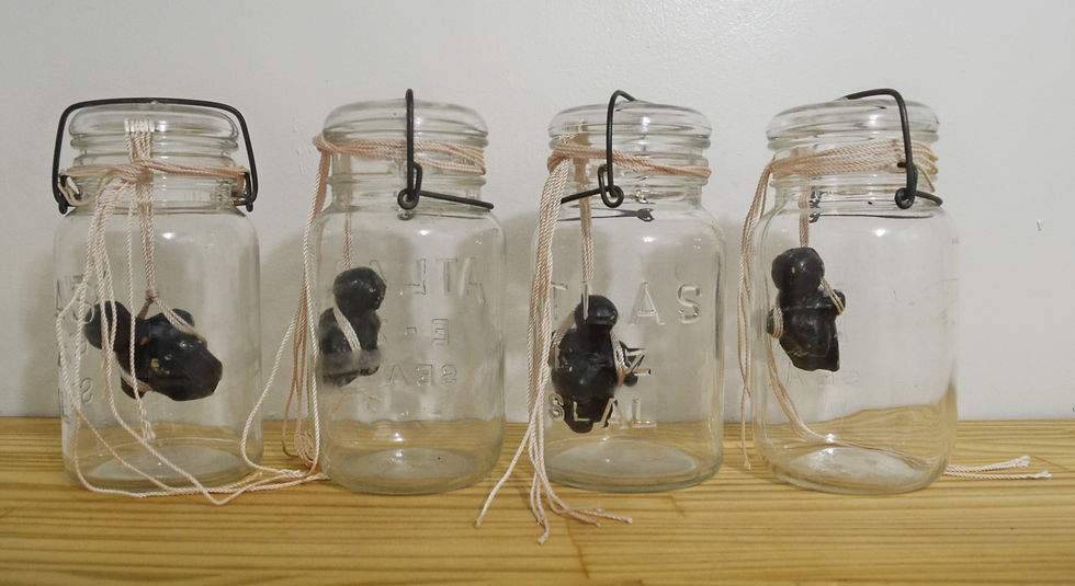 Purifying Water Filter