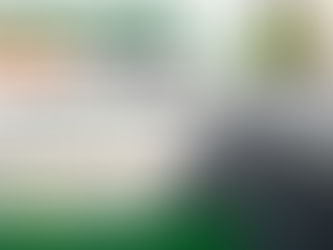 防草シートの費用はいくら?実例でわかりやすく解説