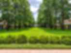 The Lawn - Spring-Summer