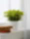 Assisted Living Placement books window