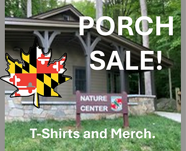porch sale final wkends_edited.png