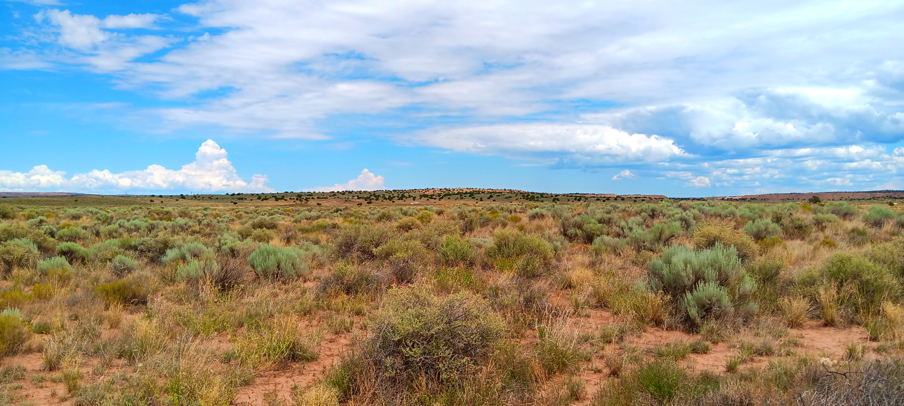 Tiny Home Ready. RV Ready. Freedom Ready. On 1-Acres