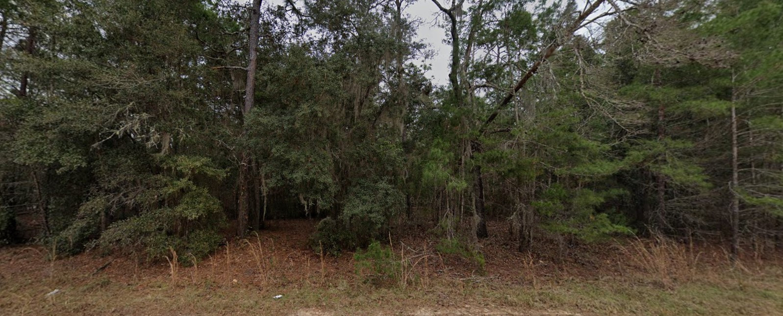 Power at the Road. Trees Overhead. Opportunity Waiting