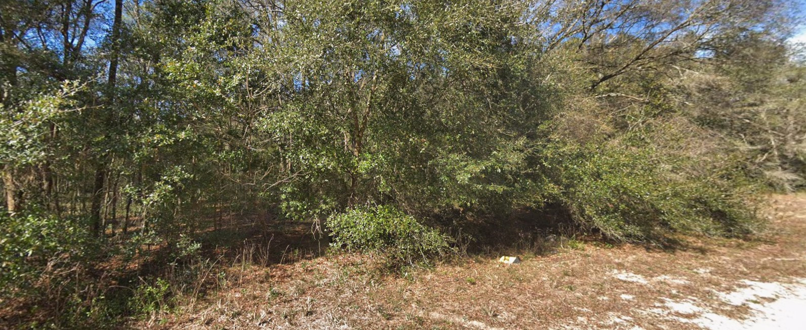 Hidden Pines. Open Rules. $1 Down Ownership