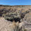 Thumbnail: 4.61 Acres to Build and Camping in Costilla, CO For $169/MO