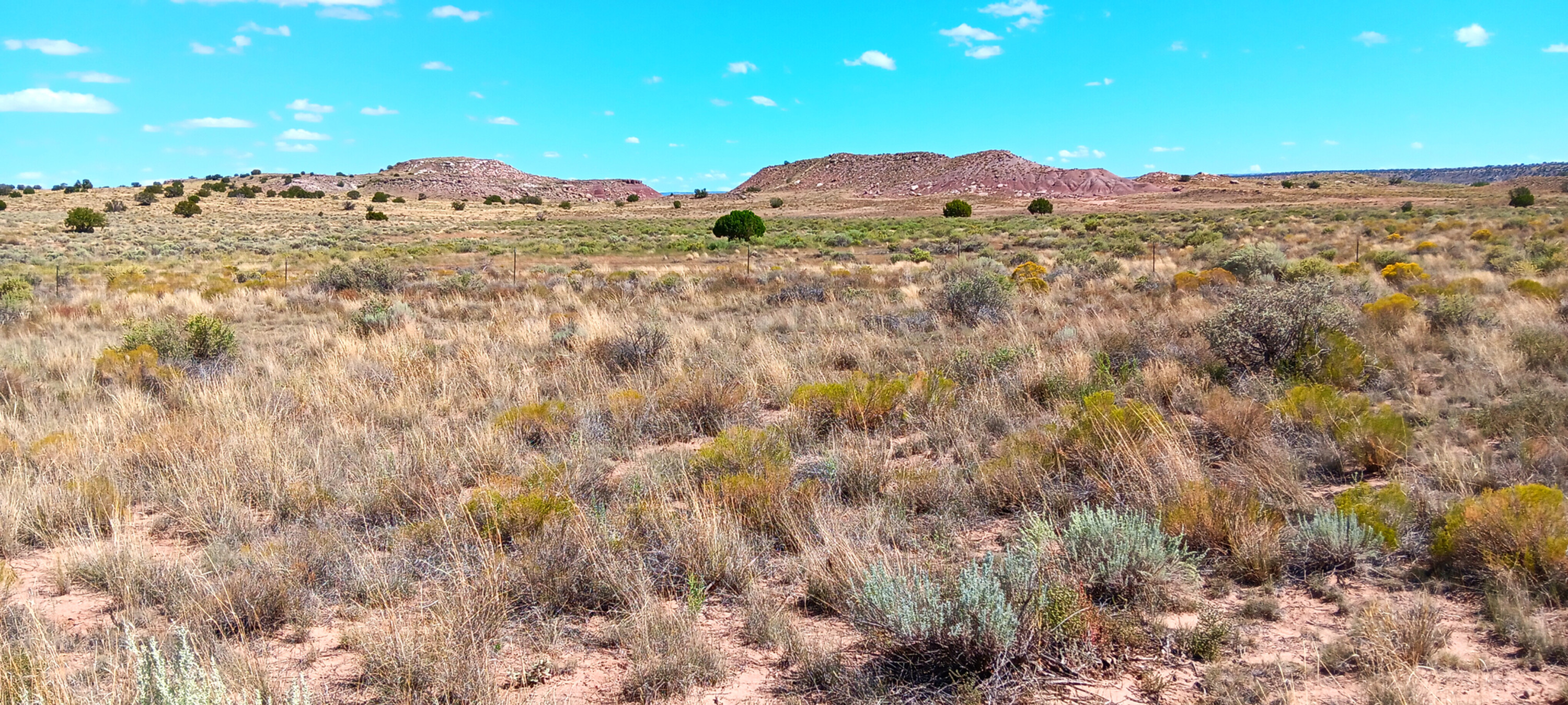 Secure Your Future with a Prime 1 Acre Investment in Apache County!"