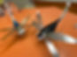 bg firefly.jpeg