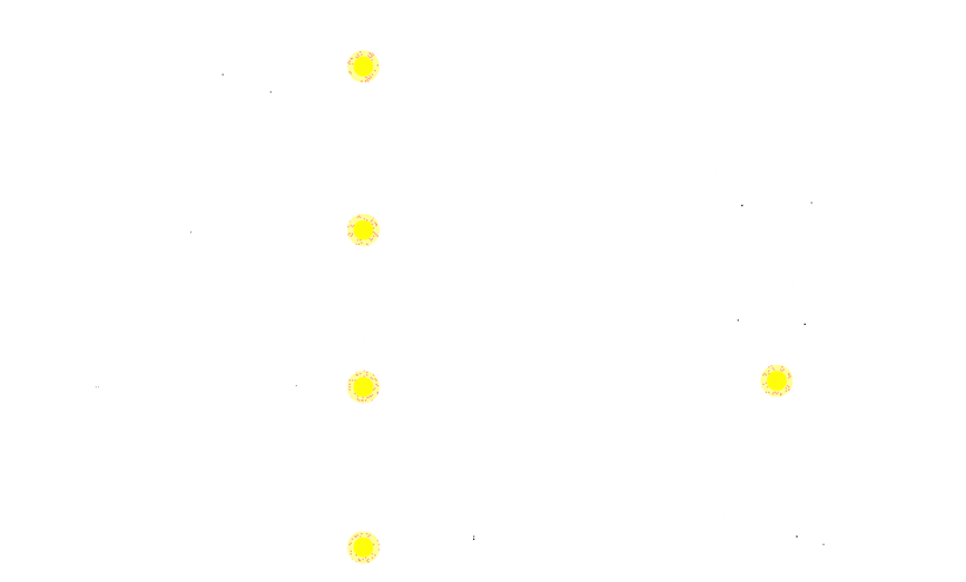 website_edited.png