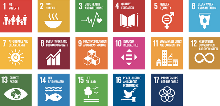 SDG goals